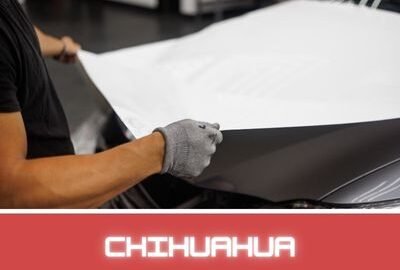 wrapping para auto en Chihuahua
