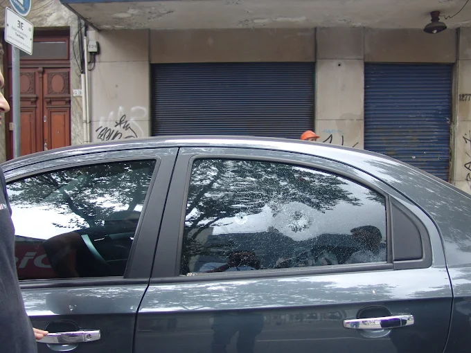 polarizados montevideo