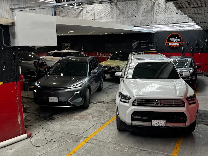 area de trabajo polarizados fonseca
