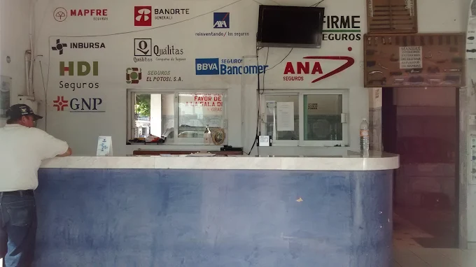recepción de parabrisas cruz